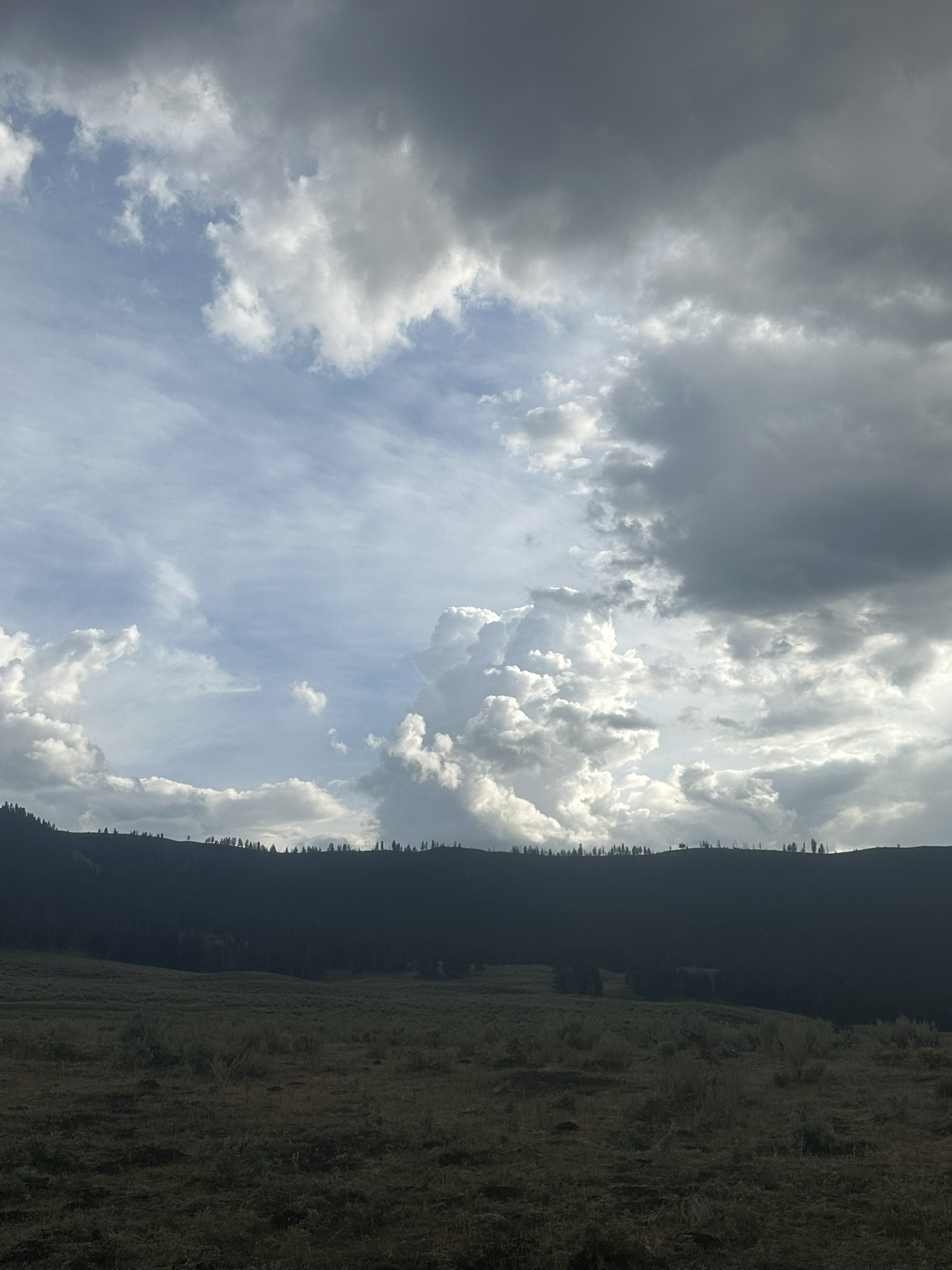 Yellowstone And Grand Teton National Parks - Image 1104